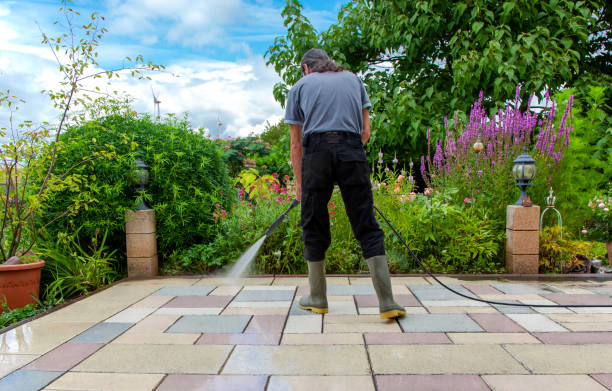 Best Fence Cleaning  in San Pasqual, CA